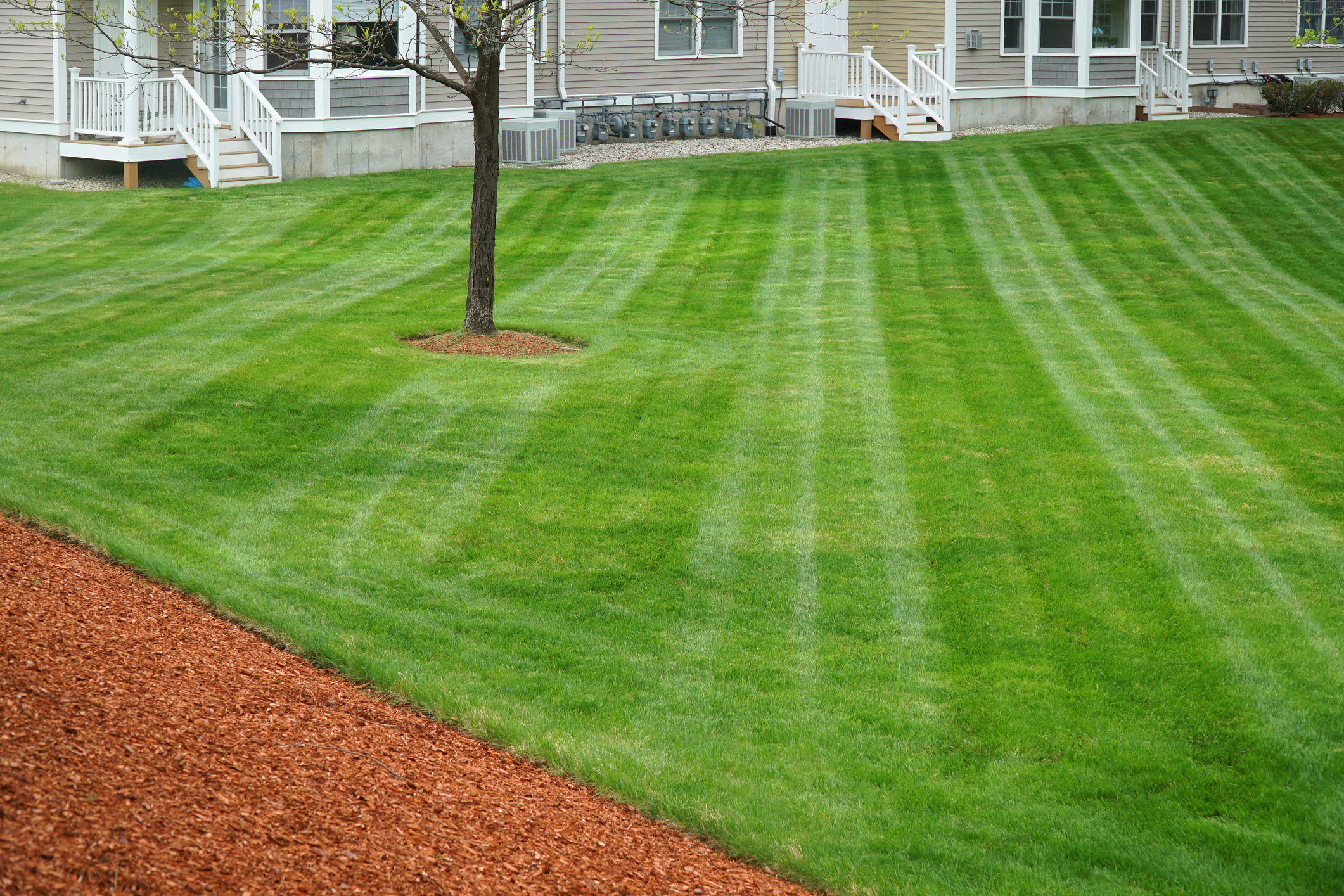 Landscape image placeholder for service detail one Landscape image placeholder for service detail one